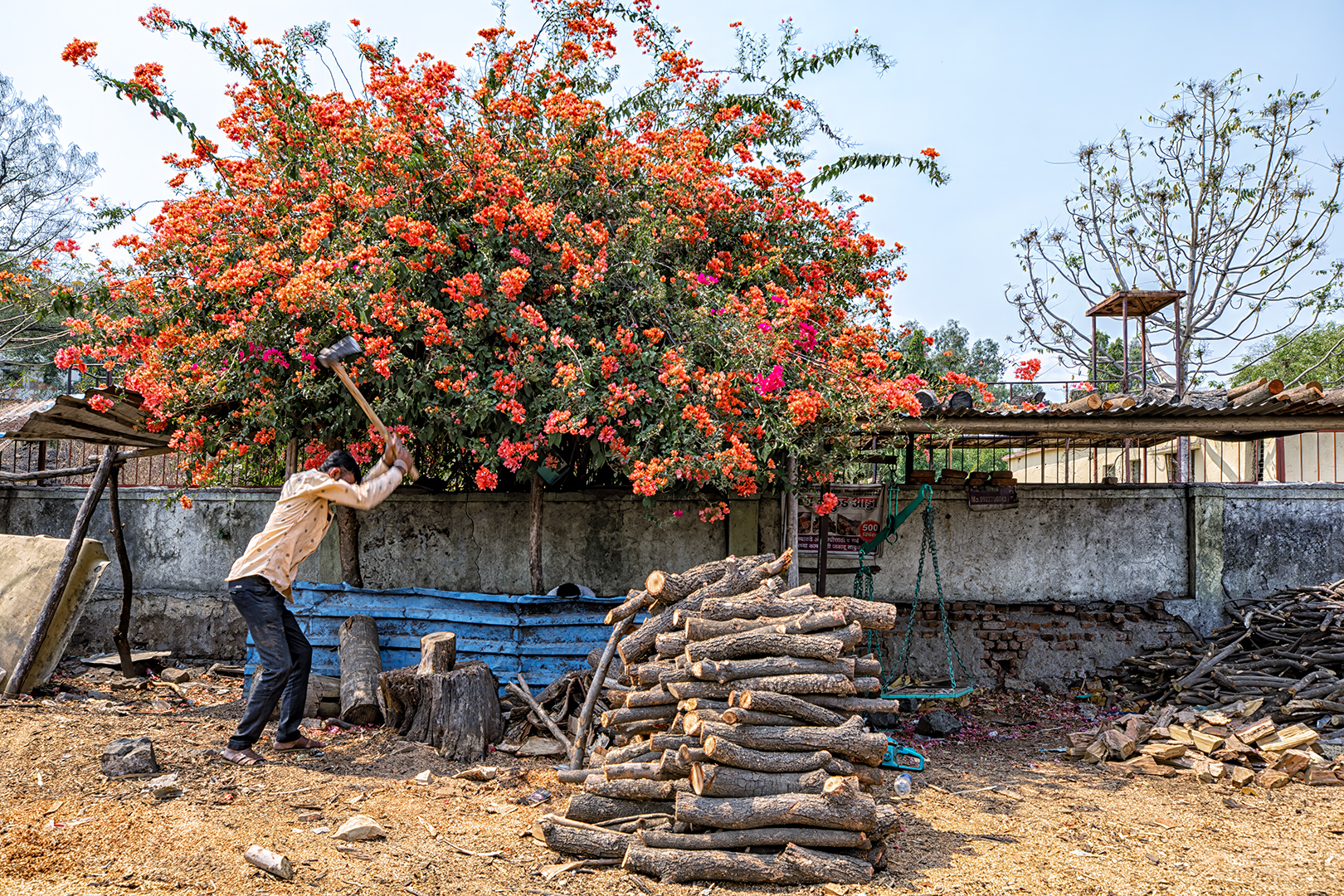 588 | Maharashtra 2024